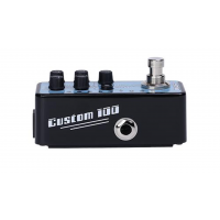 Mooer Custom 100