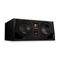ADAM Audio A77H (Single)