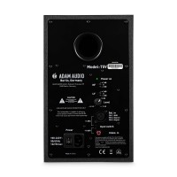 ADAM Audio T5V (Single)