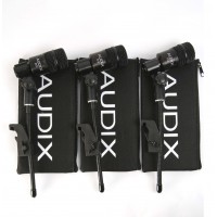 Audix D2 TRIO (3-piece Drum Microphone Package)
