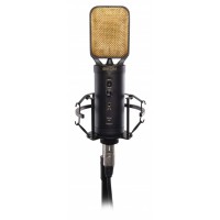 Eikon CM14USB - Condenser Studio Microphone with USB Interface 