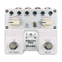 Mooer Reecho Pro Digital Delay Pedal