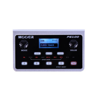 Mooer PE100