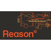 Reason 12