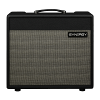 Synergy SYN-20IR 1×12” Combo Amp