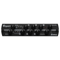 Synergy BOGNER ECSTASY PRE-AMP