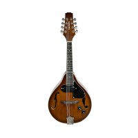 Tamrock Electric Mandolin