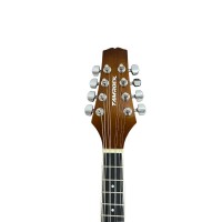 Tamrock Electric Mandolin