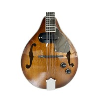 Tamrock Electric Mandolin