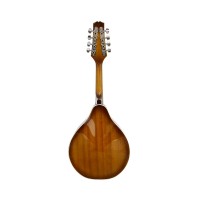 Tamrock Electric Mandolin
